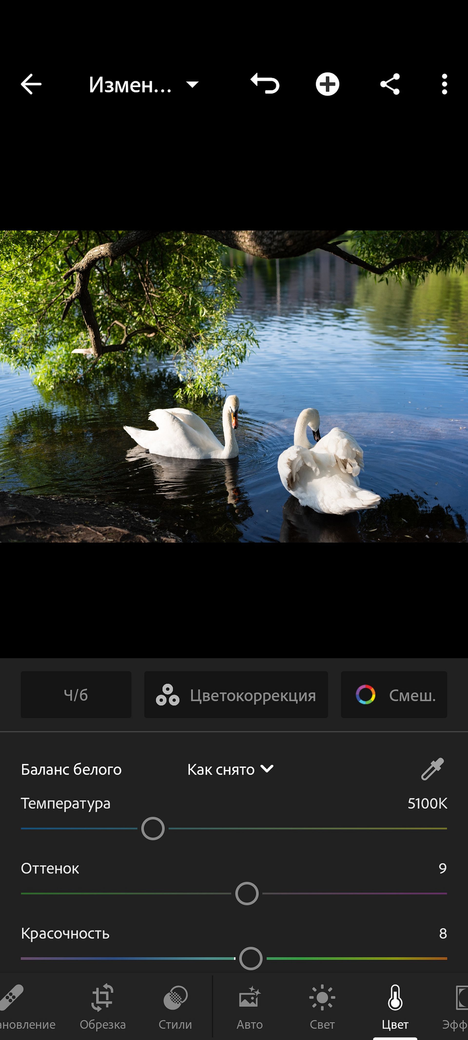 Сохранение фотографий в Lightroom и простейшие действия